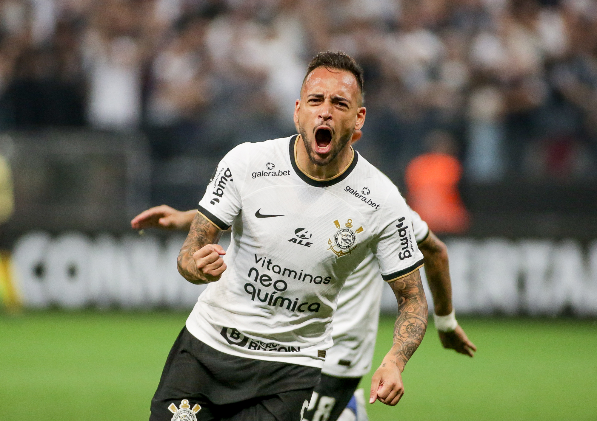 Imagem ilustrativa para a matéria