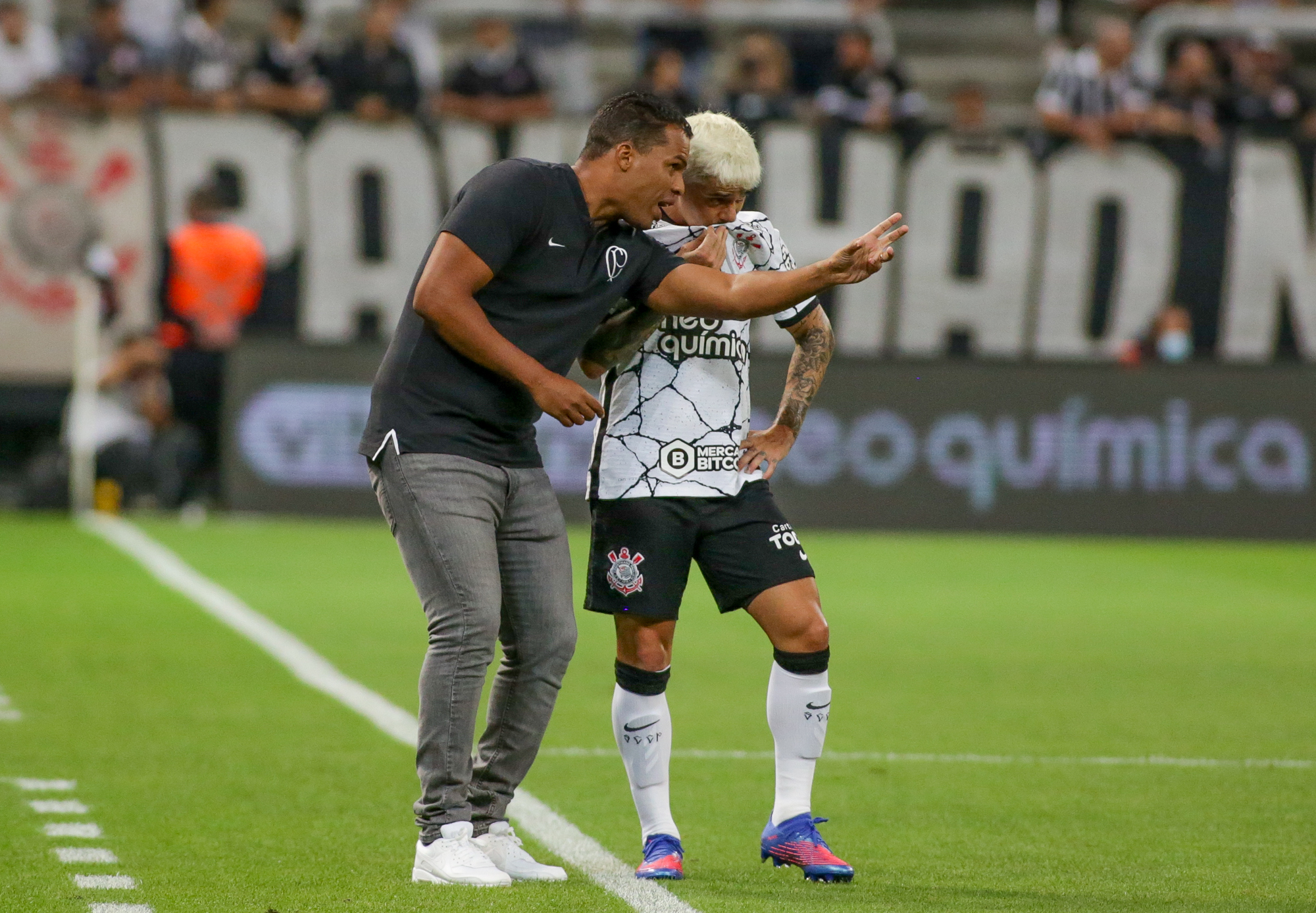 Imagem ilustrativa para a matéria