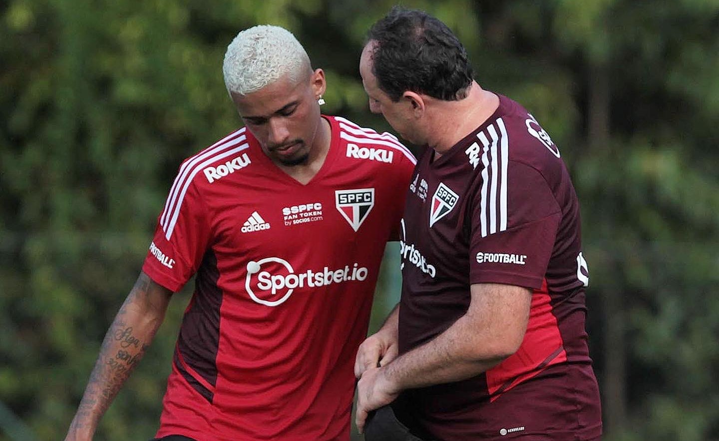 Imagem ilustrativa para a matéria