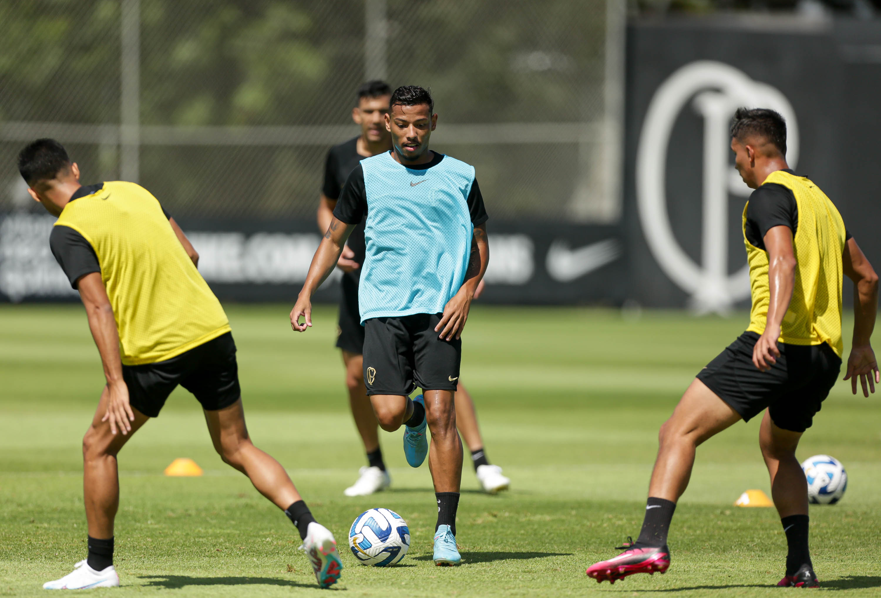 Imagem ilustrativa para a matéria