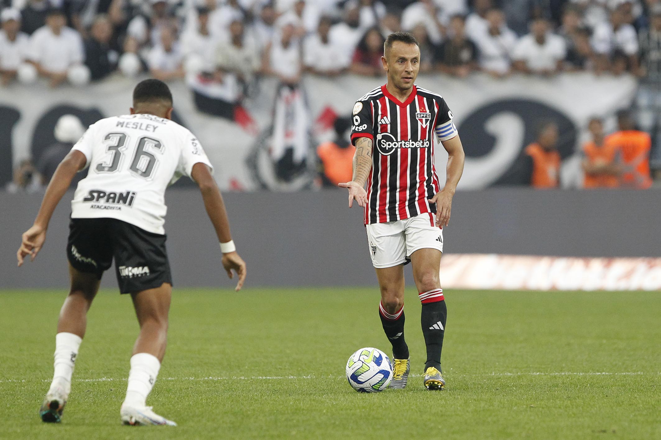Imagem ilustrativa para a matéria