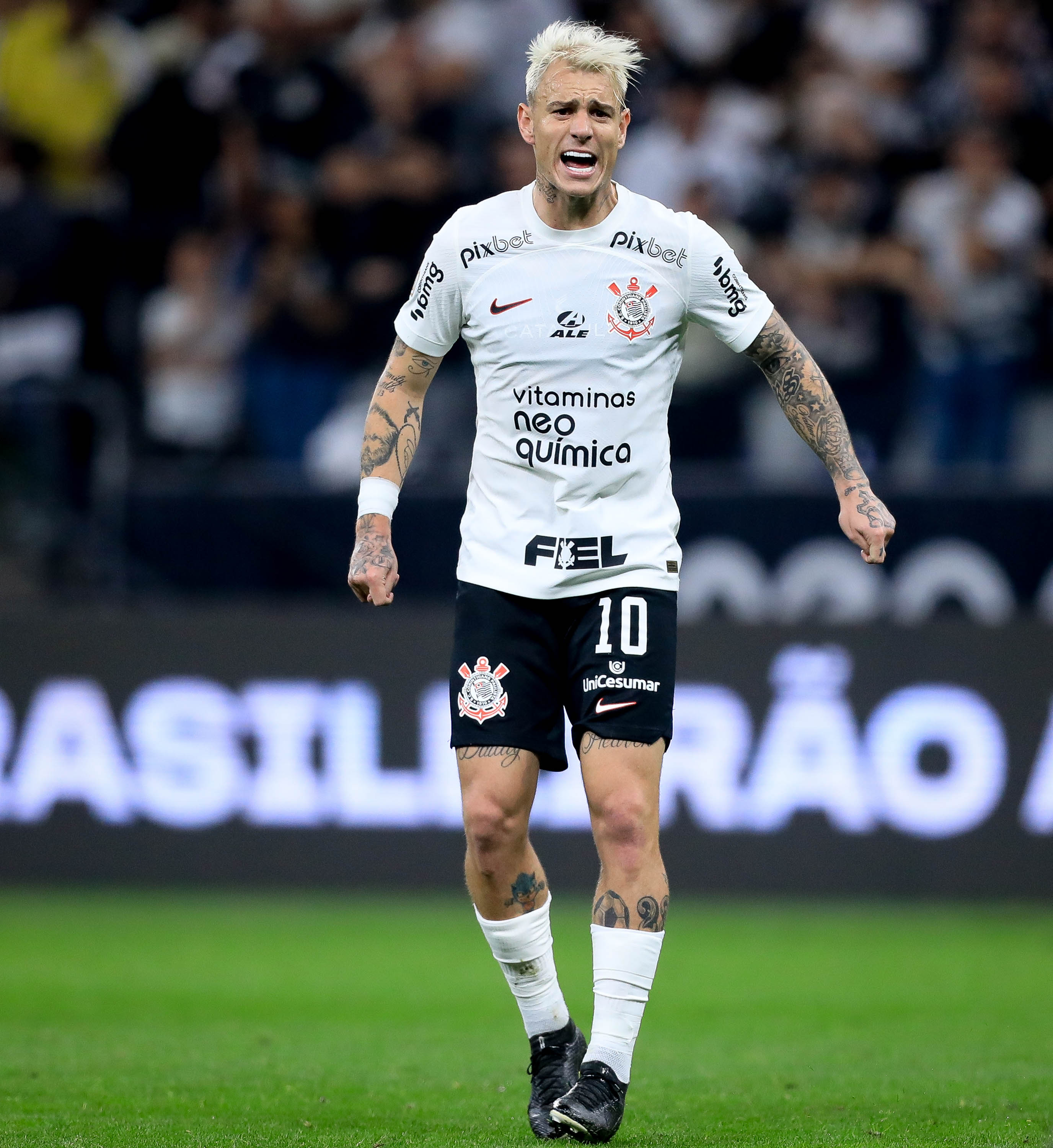 Imagem ilustrativa para a matéria