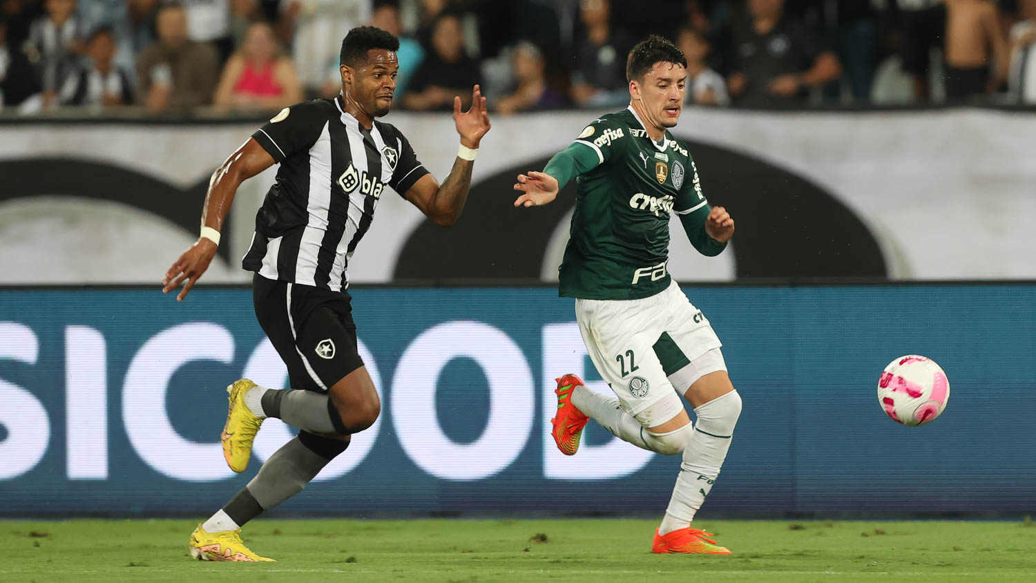 Palmeiras x Botafogo: veja tudo sobre a partida pela 12ª rodada do ...
