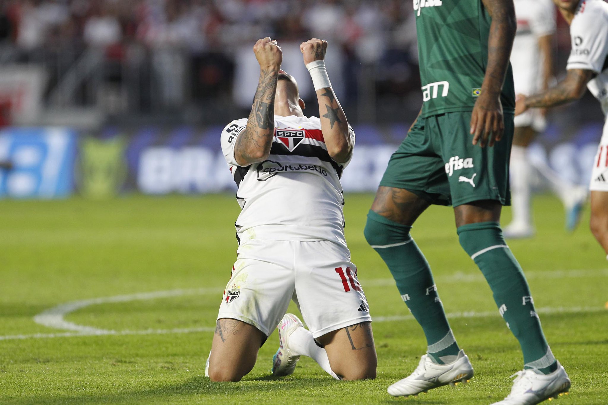 Imagem ilustrativa para a matéria