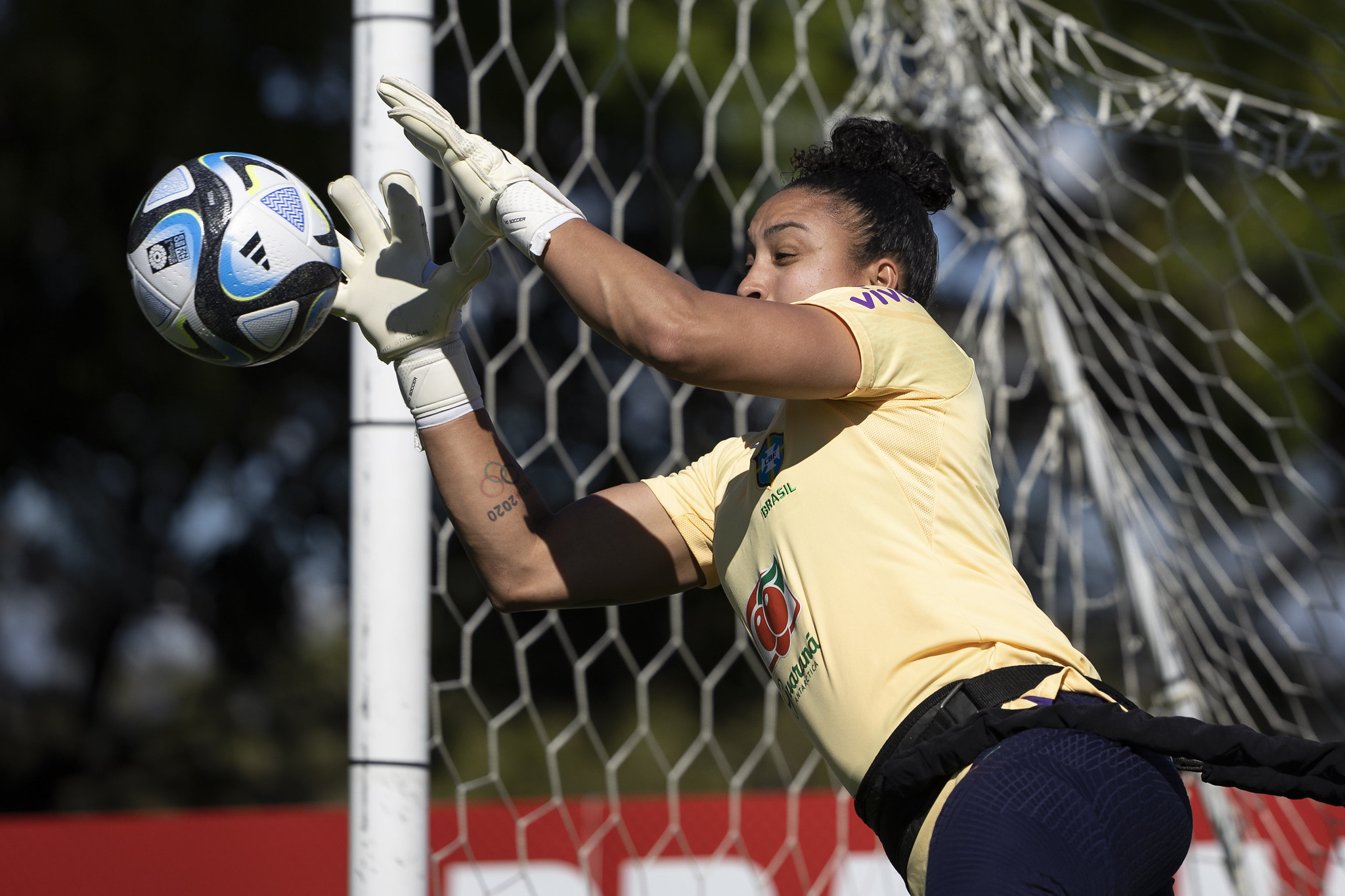 Imagem ilustrativa para a matéria