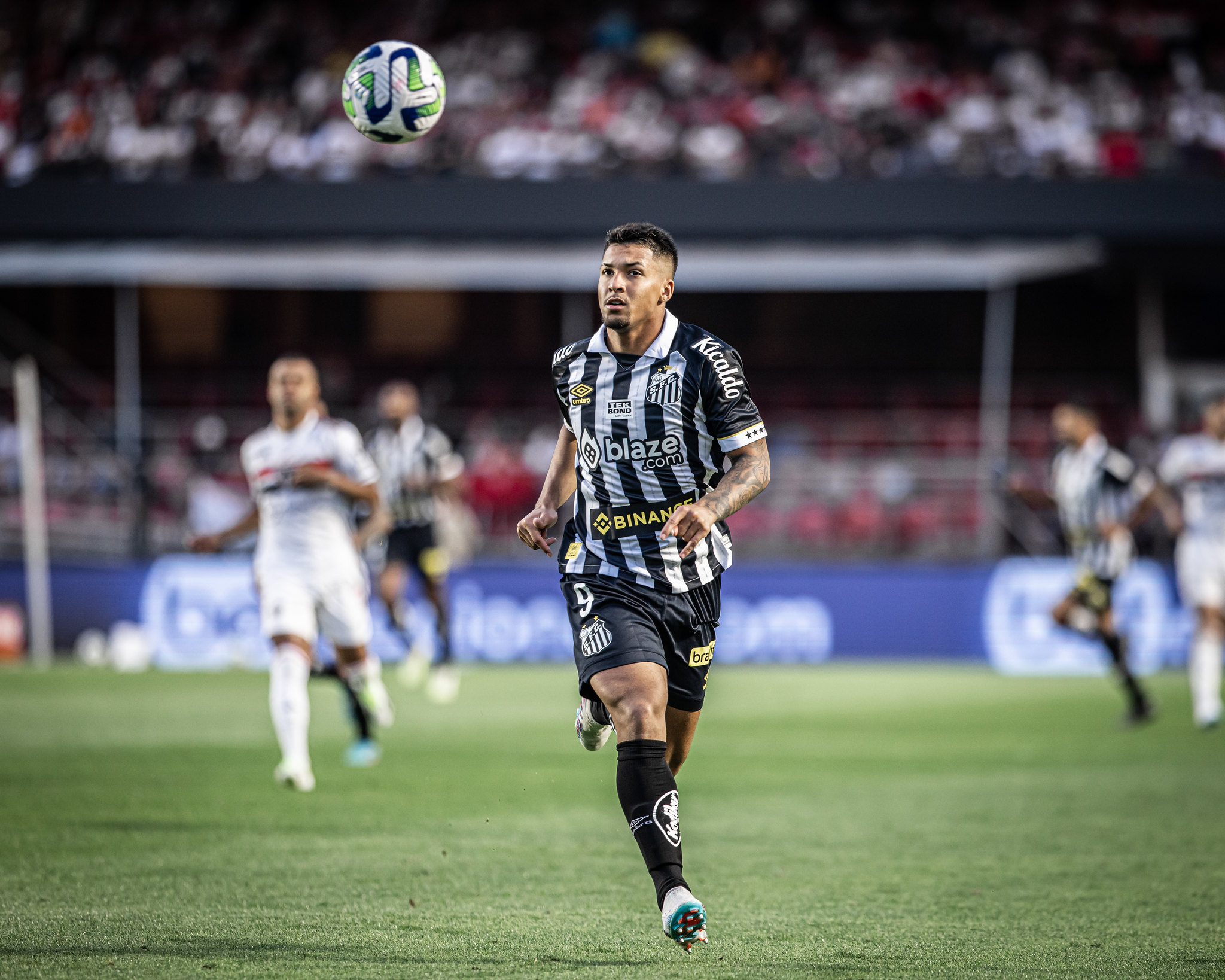 Imagem ilustrativa para a matéria