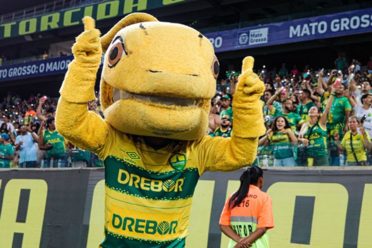 Imagem ilustrativa para a matéria