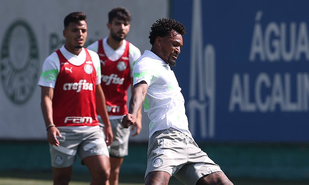 Imagem ilustrativa para a matéria