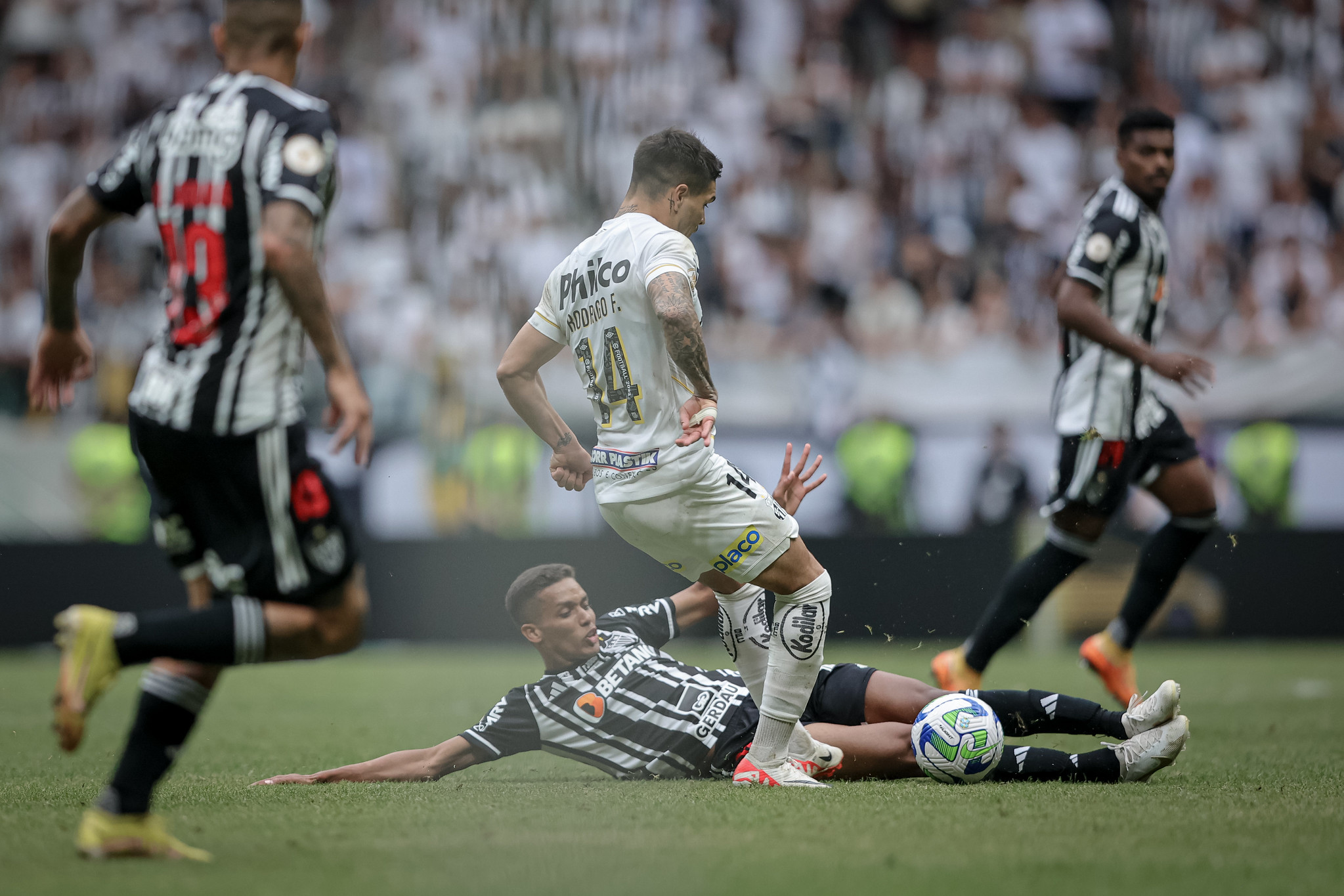 Imagem ilustrativa para a matéria