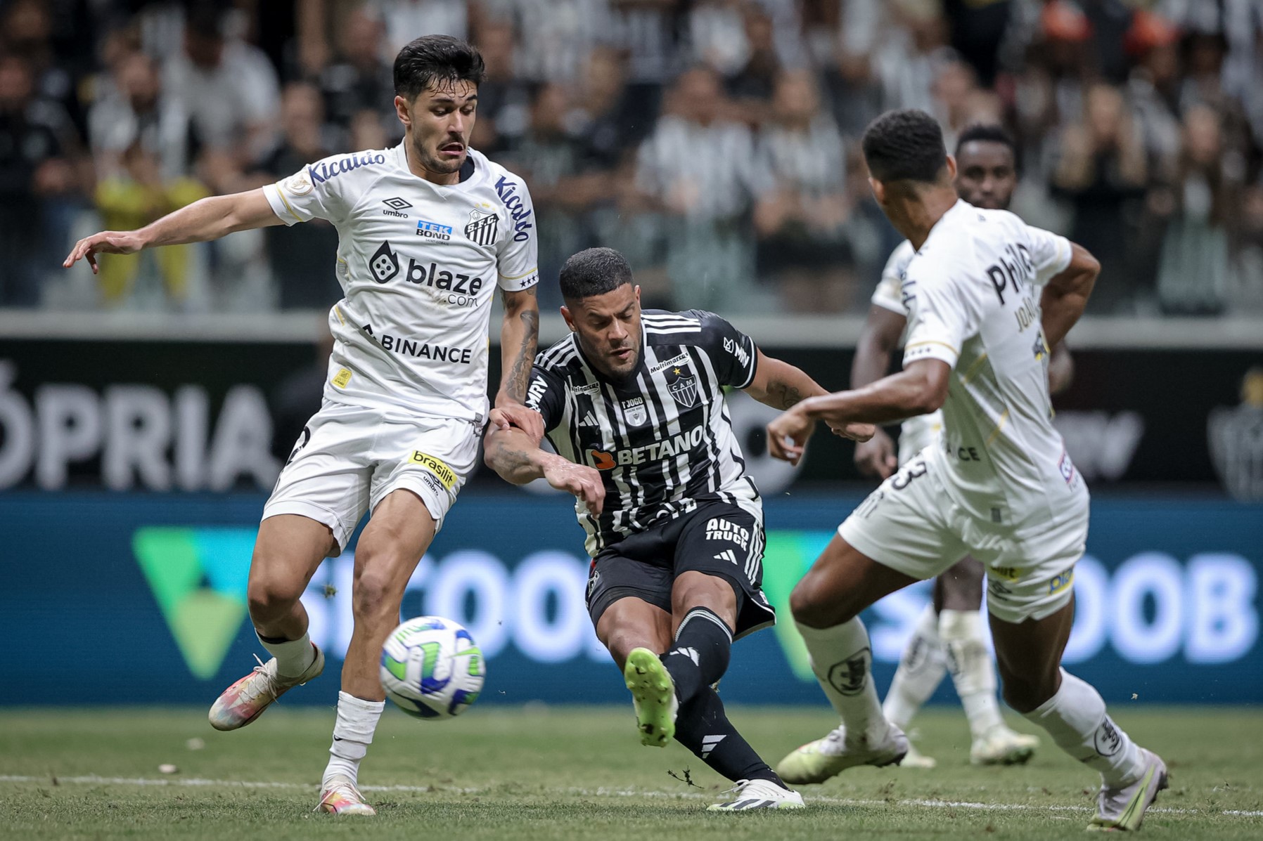 Imagem ilustrativa para a matéria