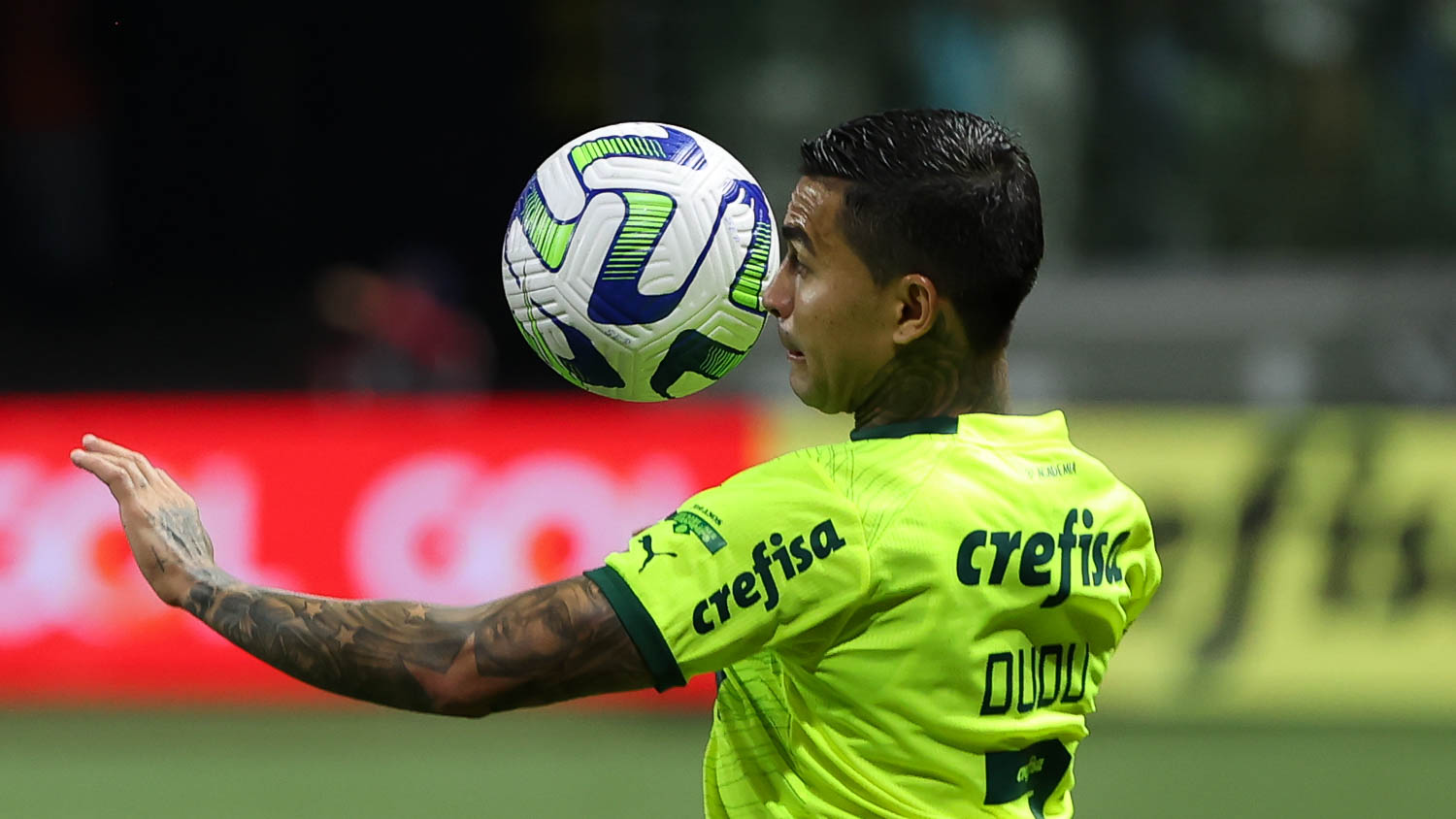 Lesionado, Dudu agradece carinho em 