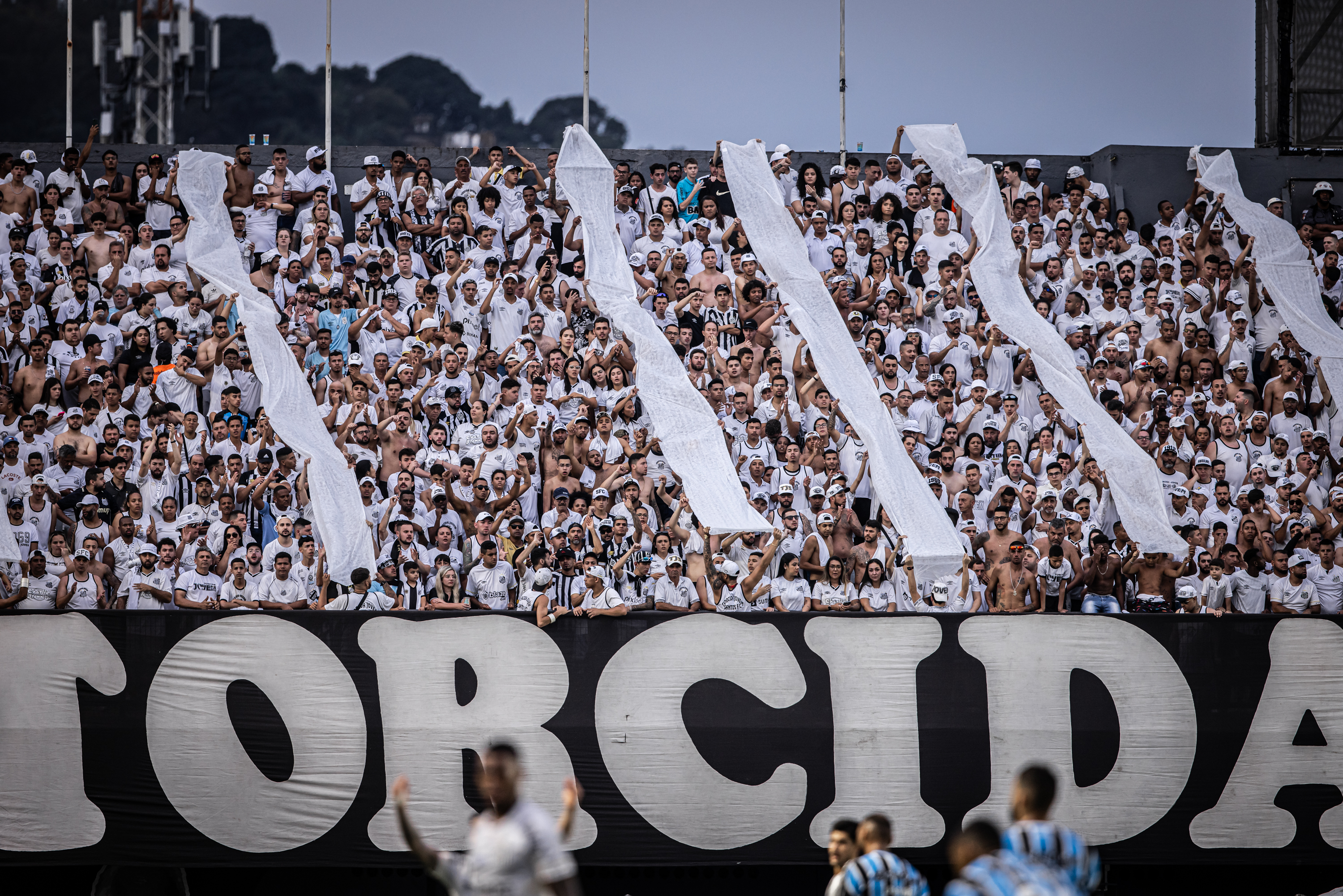 Torcida do Santos esgota ingressos para jogo contra o Cruzeiro na Vila Belmiro
