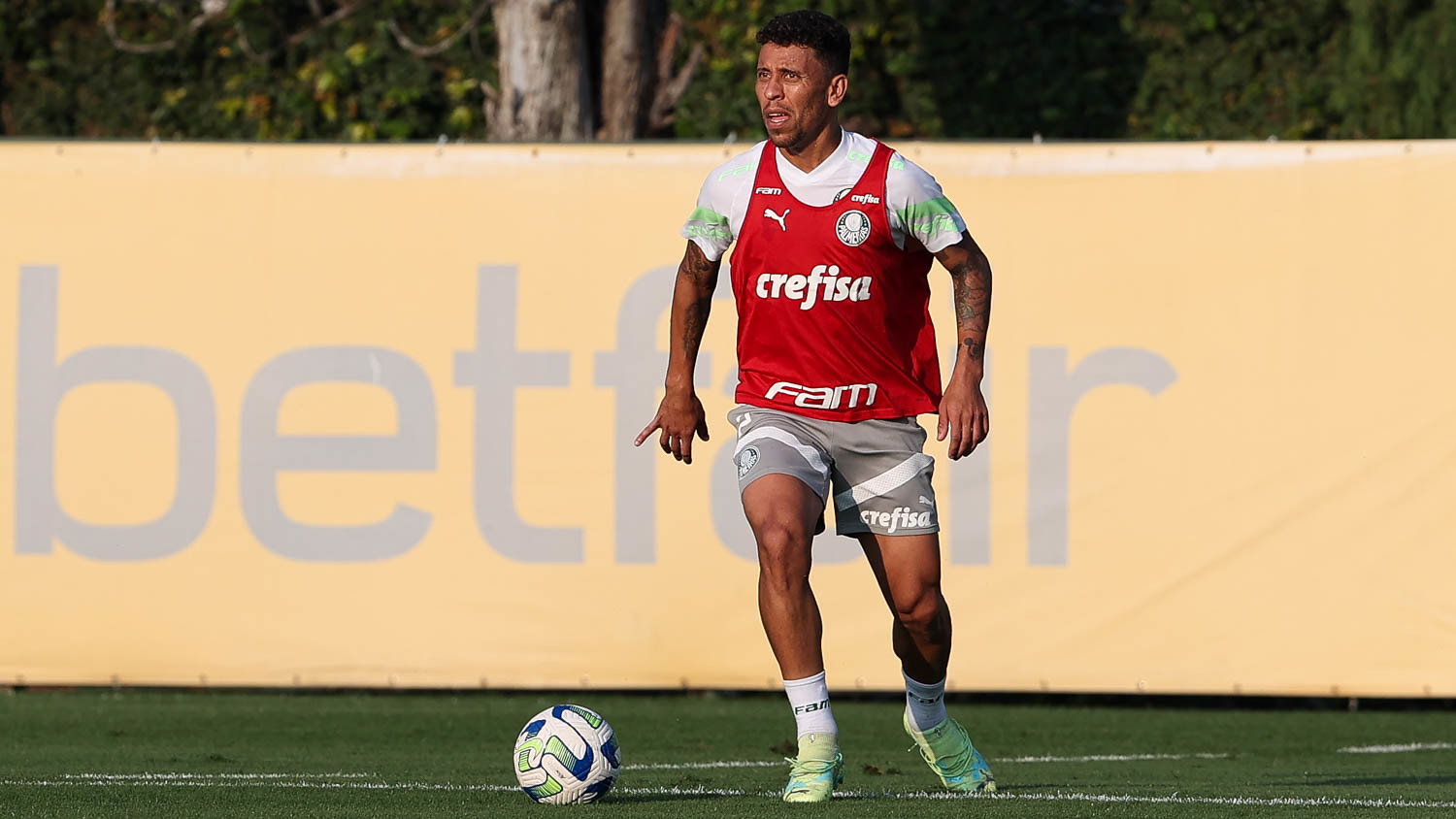 O Palmeiras deve renovar com Marcos Rocha, que voltou ao time titular? Vote