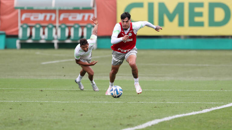 Gómez convoca torcida do Palmeiras e destaca seriedade em preparação para duelo contra o Boca