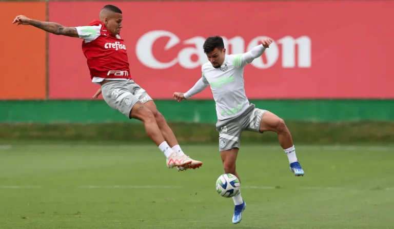 Treinos e desafios pelo Brasileirão: veja a programação semanal do Palmeiras
