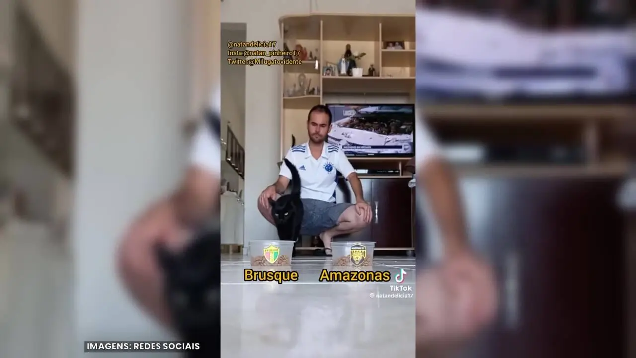 Imagem ilustrativa para a matéria