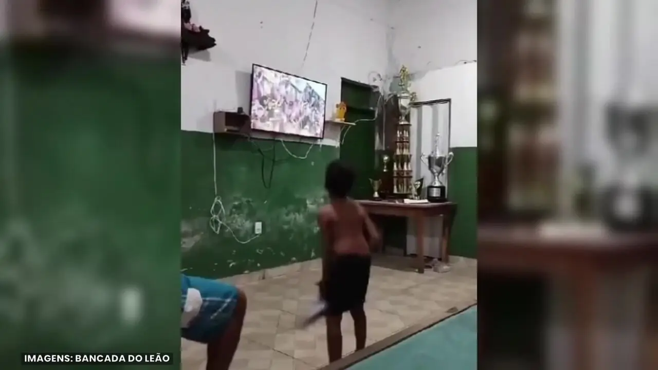 Imagem ilustrativa para a matéria