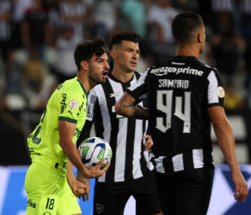 A três jogos do fim do Brasileirão, Palmeiras aumenta probabilidade de ser campeão; Botafogo despenca