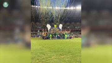 Dodecacampeão! Palmeiras ergue a taça do Brasileirão de 2023; assista ao vídeo